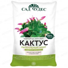 Кактус+ (Фарт)