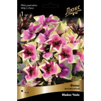 Флокс метельчатый Майкс Чойс Флокс метельчатый Майкс Чойс