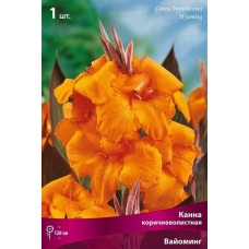 Канна коричневолистная Вайоминг Канна коричневолистная Вайоминг