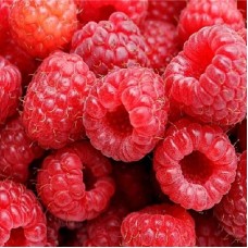 Малина традиционная Орбита