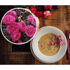Роза флорибунда Кулинарная Дольче