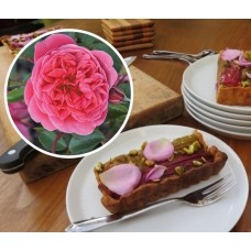 Роза флорибунда Кулинарная Распберри