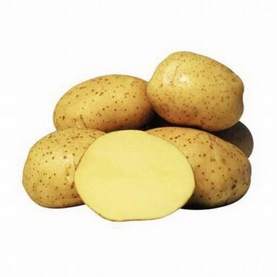 Семенной картофель Креница