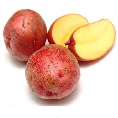 Семенной картофель Юбиляр