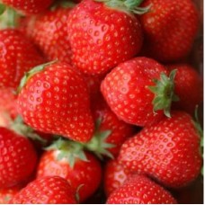 Земляника садовая Феличита Земляника садовая Феличита