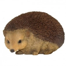 Еж лесной