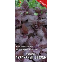 Базилик овощной Пурпурные звезды