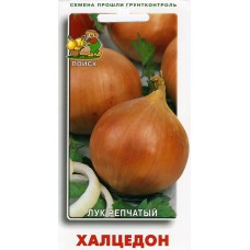 Лук репчатый Халцедон