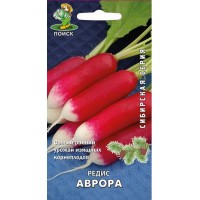 Редис Аврора
