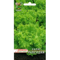 Салат Рапсодия