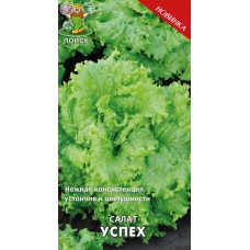 Салат Успех