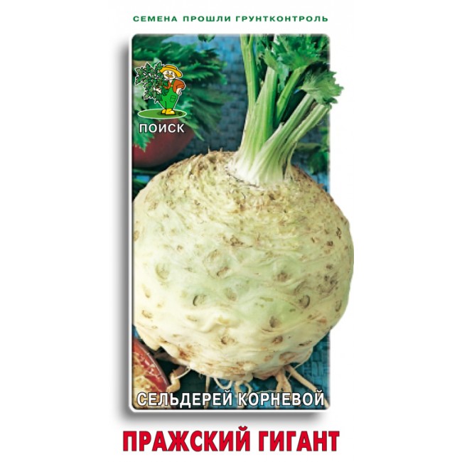 сельдерей пражский гигант. сельдерей корневой парижский гигант. сельдерей корневой королевская ночь/русский богатырь 0,3гр/10, шт. сельдерей корневой. сельдерей корневой пражский гигант/сем алт.