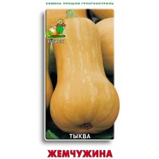 Тыква мускатная Жемчужина