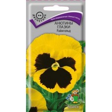 Анютины глазки Райнгольд