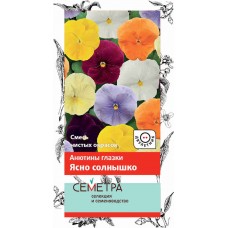 Анютины глазки Ясно солнышко