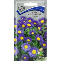 Астра альпийская Голубая Астра альпийская Голубая
