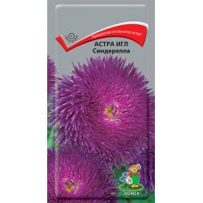 Астра Игл Синдерелла