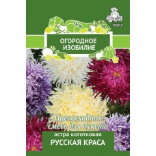 Астра коготковая Русская Краса
