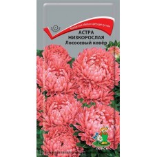 Астра низкорослая Лососевый ковер