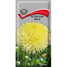 Астра Гала Жёлтая