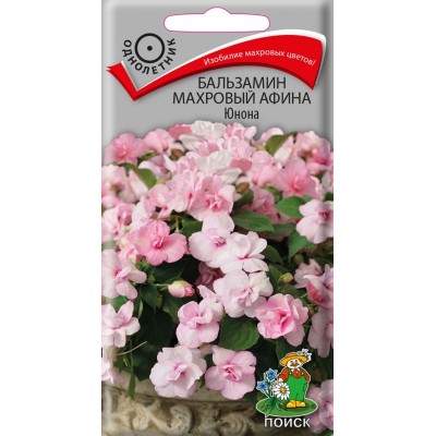 Бальзамин махровый Афина Юнона