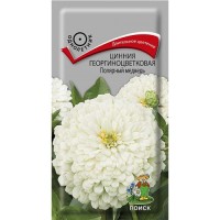 Цинния георгиноцветковая Полярный медведь