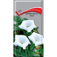 Дурман метел Белый