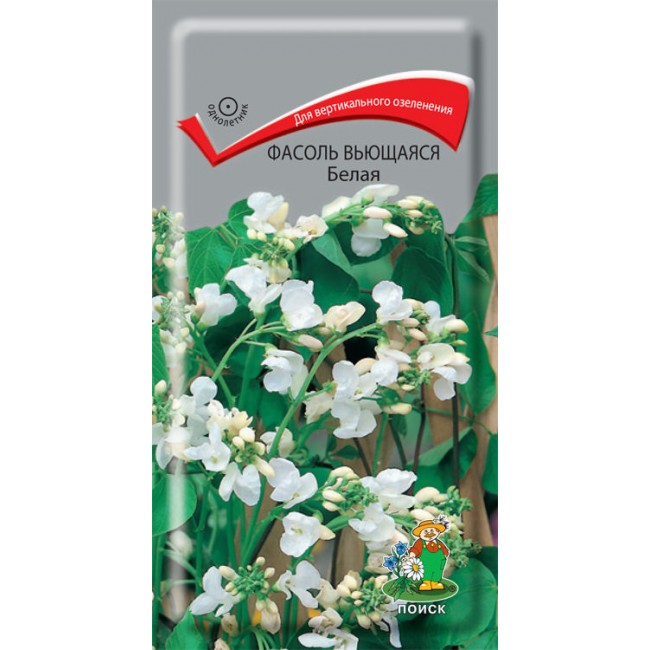 Семена фасоль цветы. Семена фасоль огненно-красная вьющаяся. Цветы семена. Фасоль вьющаяся голден файер. Семена фасоль цветы.