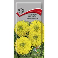 Гайлардия красивая Лоллилап золотая