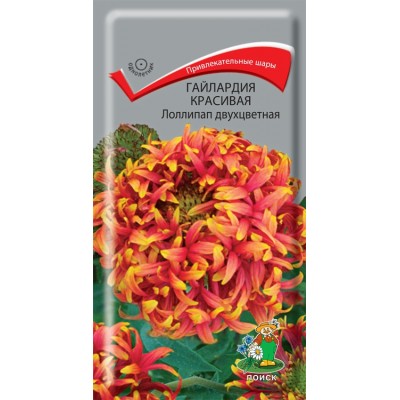 Гайлардия Красивая Лоллипап двухцветная