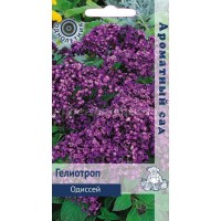 Гелиотроп Одиссей