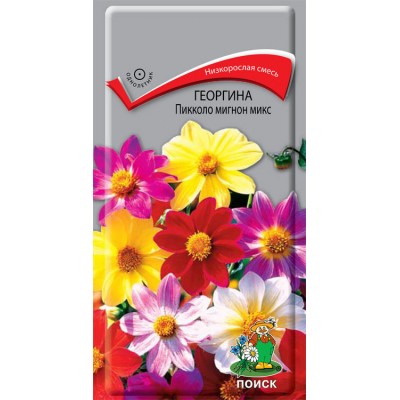 Георгина Пикколо Мигнон Микс