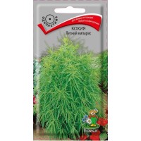 Кохия Летний кипарис Кохия Летний кипарис