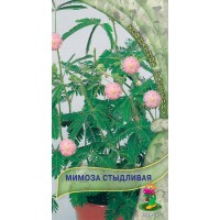 Мимоза Стыдливая