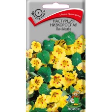 Настурция низкорослая Пич Мелба Настурция низкорослая Пич Мелба