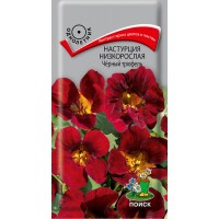 Настурция низкорослая Чёрный трюфель