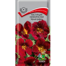 Настурция низкорослая Чёрный трюфель Настурция низкорослая Чёрный трюфель