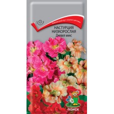 Настурция низкорослая Джевел Микс Настурция низкорослая Джевел Микс