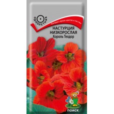 Настурция низкорослая Король Теодор Настурция низкорослая Король Теодор