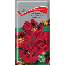 Настурция низкорослая Махагони Настурция низкорослая Махагони