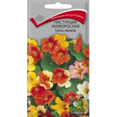 Настурция низкорослая Смесь окрасок Настурция низкорослая Смесь окрасок
