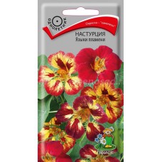 Настурция Языки пламени Настурция Языки пламени