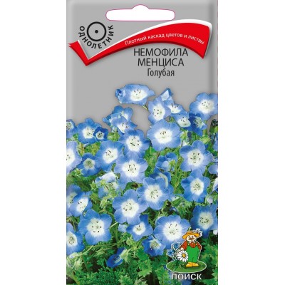 Немофила менциса Голубая