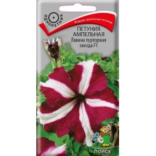 Петуния ампельная Лавина пурпурная звезда F1 Петуния ампельная Лавина пурпурная звезда F1