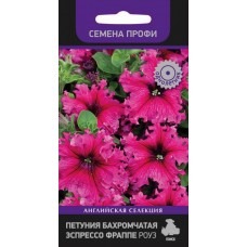 Петуния бахромчатая Эспрессо фраппе Роуз Петуния бахромчатая Эспрессо фраппе Роуз