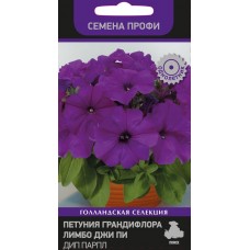 Петуния грандифлора Лимбо Джи Пи Дип Парпл Петуния грандифлора Лимбо Джи Пи Дип Парпл