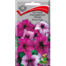 Петуния грандифлора Призм Лесные Ягоды Петуния грандифлора Призм Лесные Ягоды
