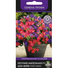 Петуния ампельная F1 Шок вейв Роял Микс Петуния ампельная F1 Шок вейв Роял Микс