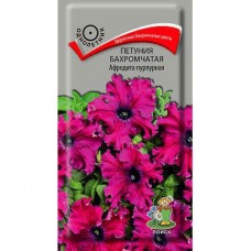 Петуния бахромчатая Афродита пурпурная Петуния бахромчатая Афродита пурпурная