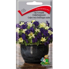 Петуния гибридная Софистика Блюберри Лайм Петуния гибридная Софистика Блюберри Лайм